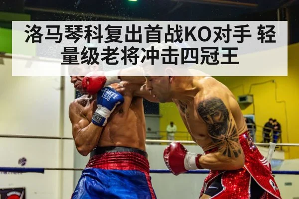 boxing knockout punch - nine game